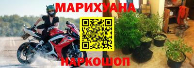 гидропоника Будённовск