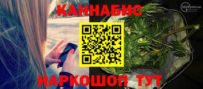 гидропоника Будённовск