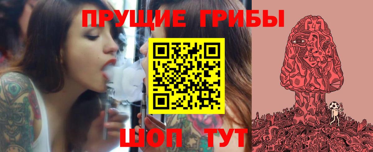 что такое наркотик  Псилоцибиновые грибы GOLDEN TEACHER  Вход с VPN  Череповец  Псилоцибиновые грибы прущие грибы 